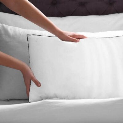 Casa Décor Silk Pillow 50x75CM Twin Pack White | OMF