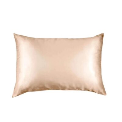 Pure Silk Pillow Case By Royal Comfort (Single Pack) - Champagne Pink | OMF