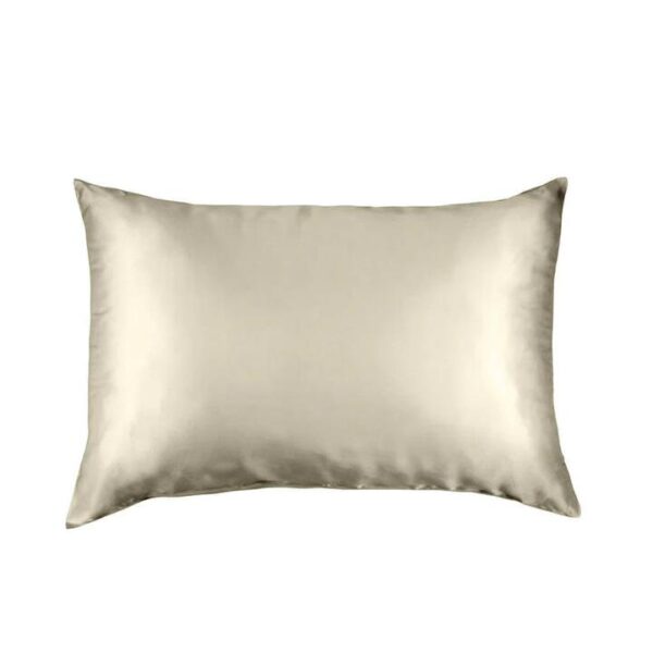 Pure Silk Pillow Case By Royal Comfort (Single Pack) - Sage | OMF
