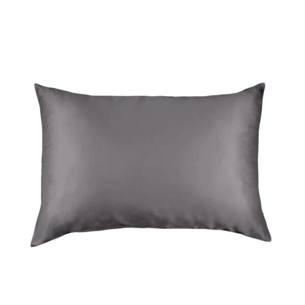 Pure Silk Pillow Case By Royal Comfort-Charcoal | OMF