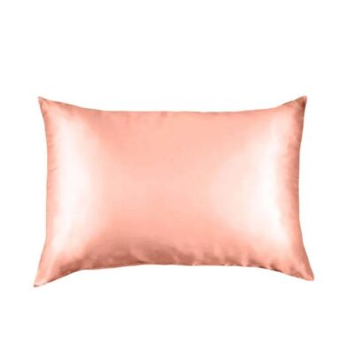 Pure Silk Pillow Case By Royal Comfort-Blush | OMF