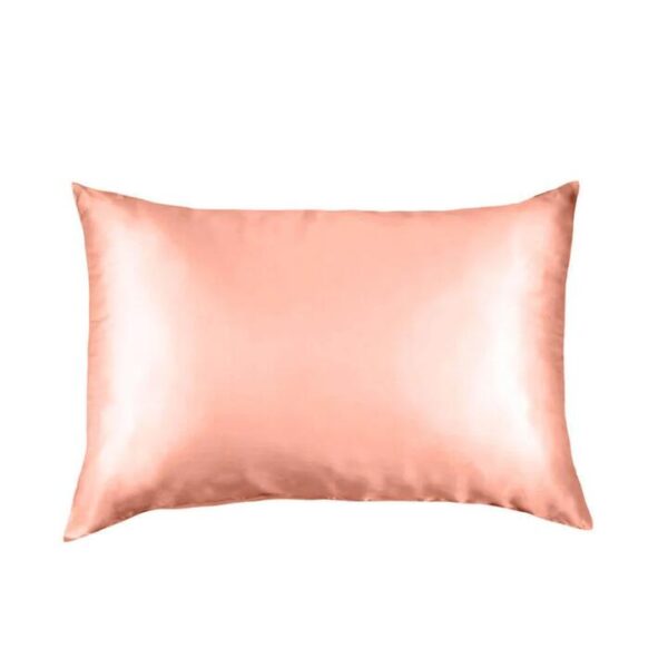Pure Silk Pillow Case By Royal Comfort-Blush | OMF