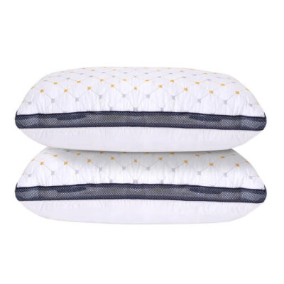 Royal Comfort Luxury Air Mesh Pillow Two Pack - White | OMF
