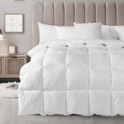 Royal Comfort 800Gsm Silk Quilt - King | OMF