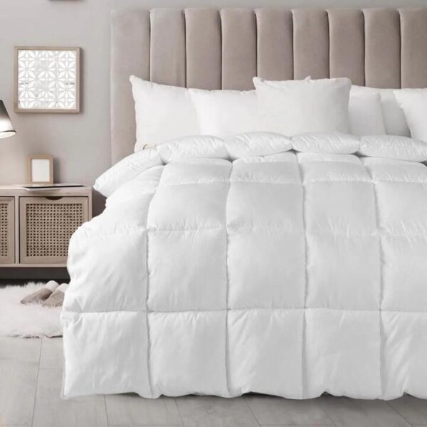 Royal Comfort 800Gsm Silk Quilt - King | OMF