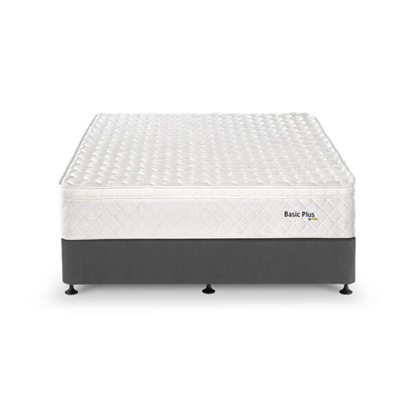 Basic Plus Double Mattress | OMF