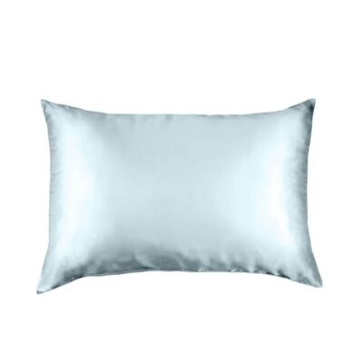 Pure Silk Pillow Case By Royal Comfort (Single Pack) - Soft Blue | OMF